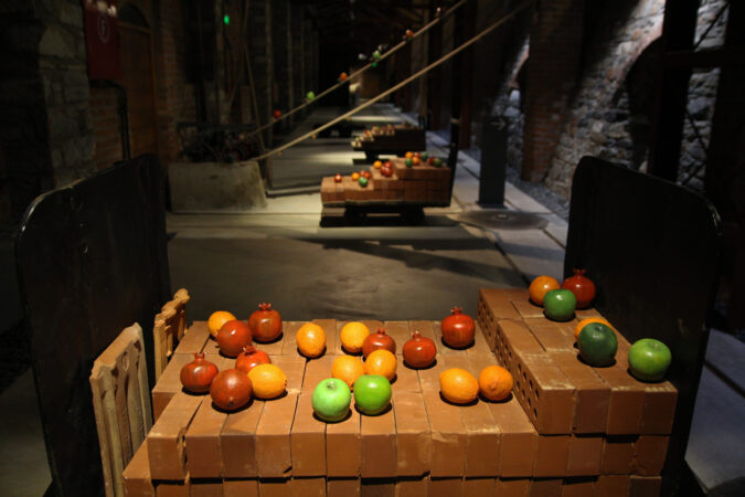 Fruits