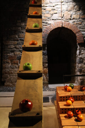 Fruits